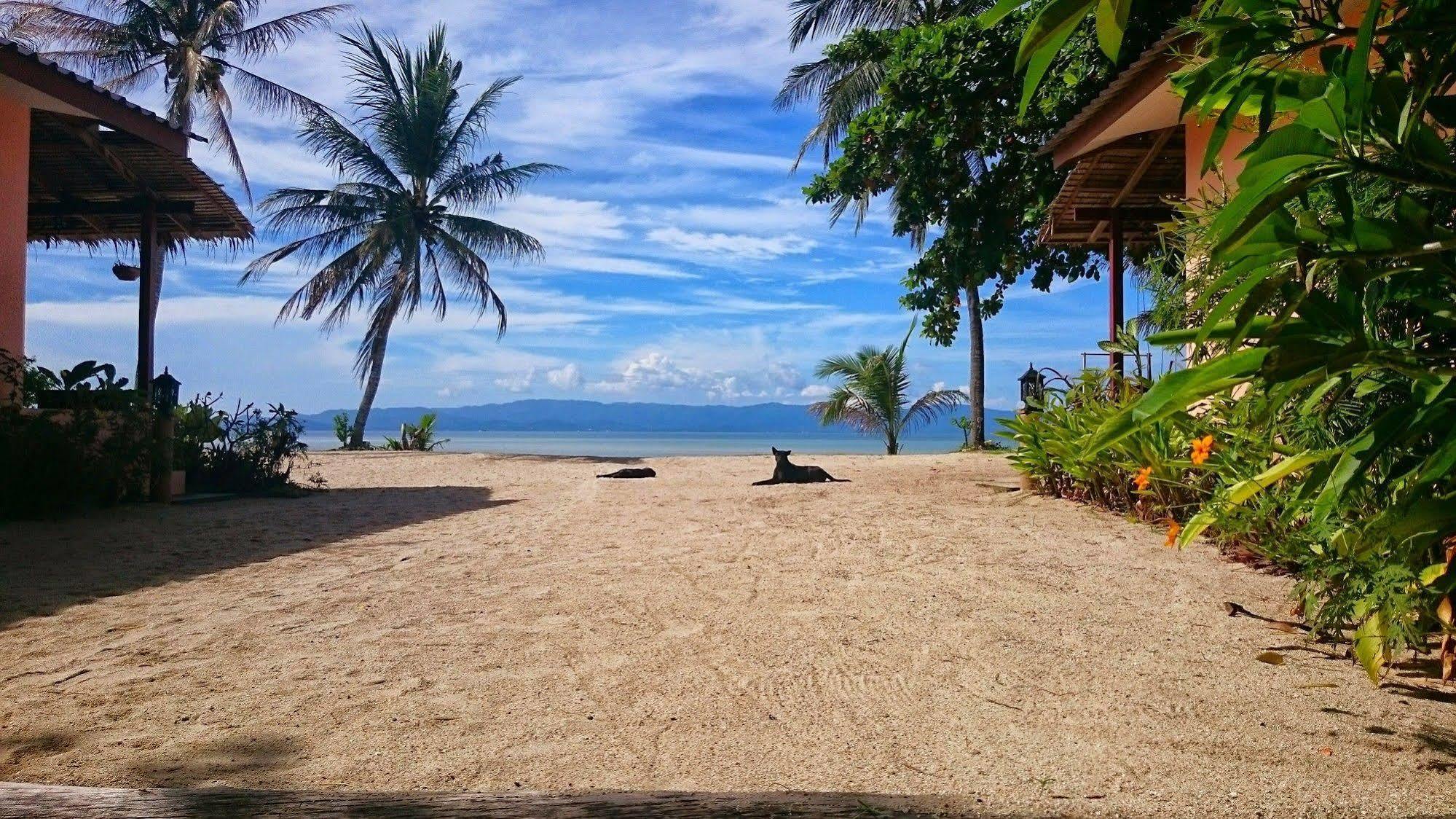 Papillon Bungalows Baan Tai Exterior foto